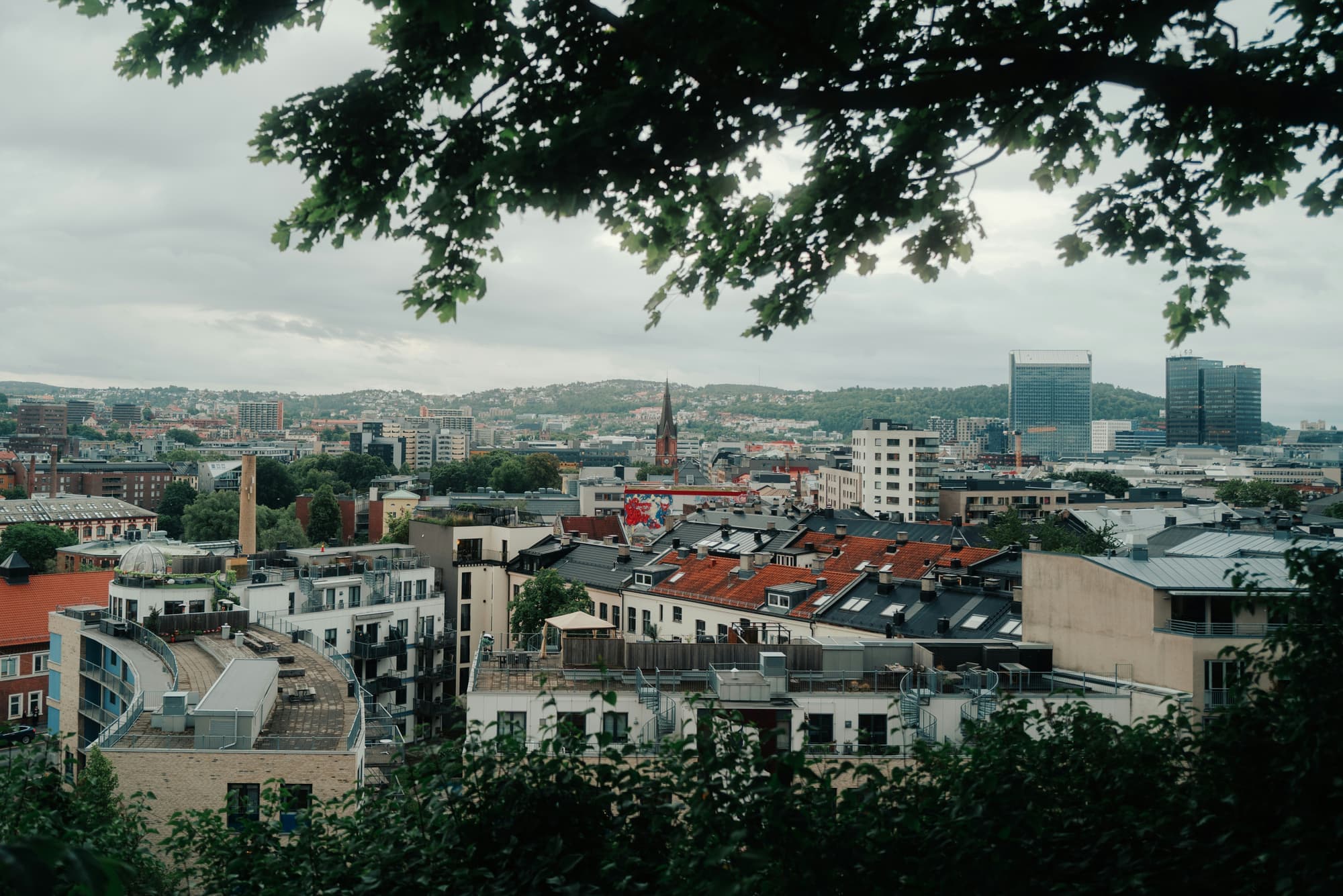Oslo sett mellom trærne